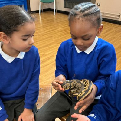 The Animal Man